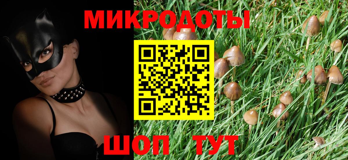 Галлюциногенные грибы мухоморы Ачинск